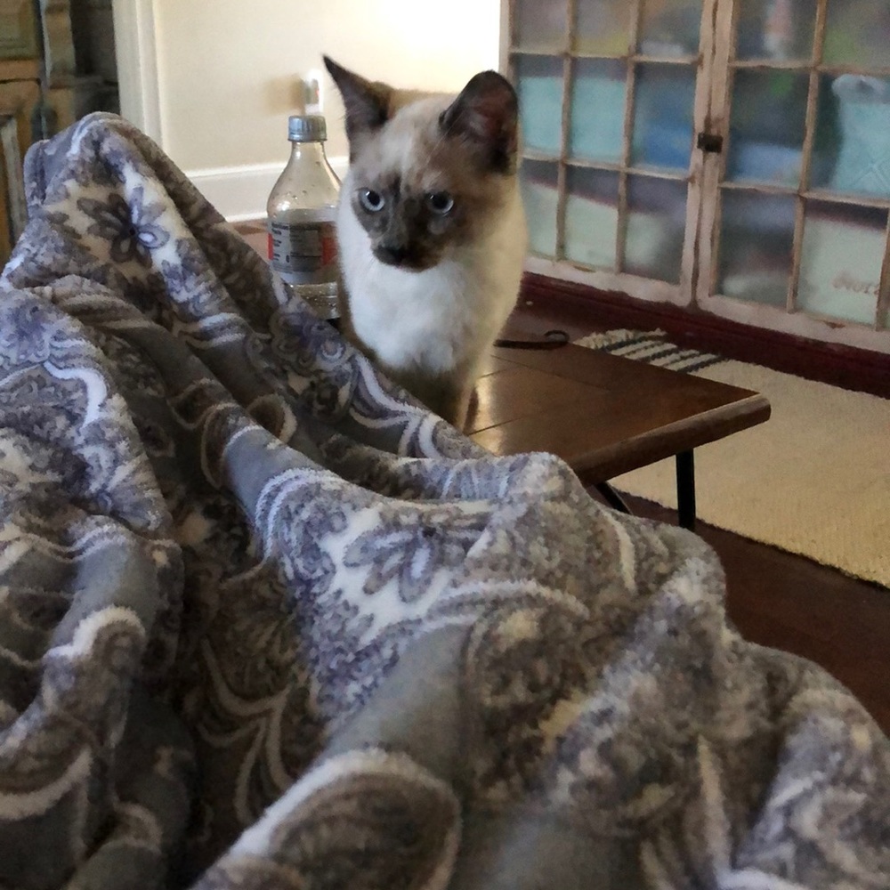 Meet your Posher, Kim